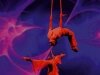 The Flight of Passion